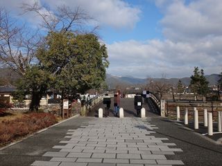 DSC00127.jpg