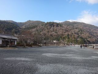 DSC00132.jpg
