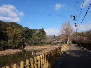 DSC00192.jpg
