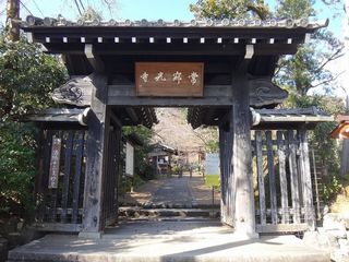 DSC00195.jpg
