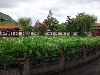 DSC00338.jpg