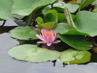 DSC00364.jpg