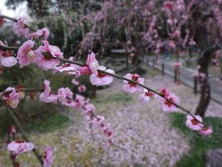 DSC00375.jpg