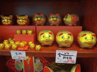 DSC00418.jpg