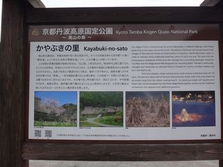 DSC00431.jpg