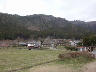 DSC00441.jpg