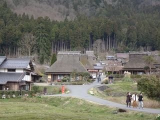DSC00443.jpg