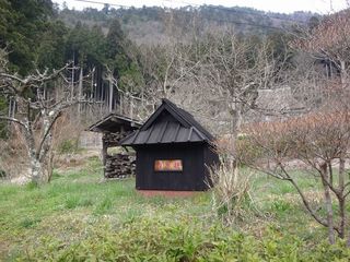 DSC00461.jpg