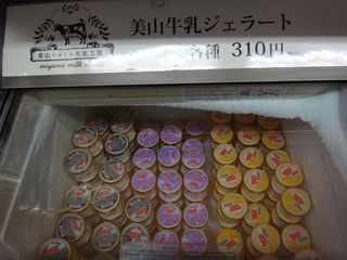 DSC00528.jpg