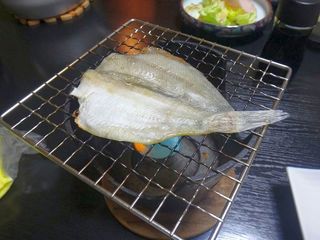 DSC00968.jpg