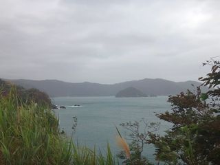 DSC00976.jpg