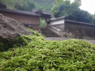 DSC00979.jpg