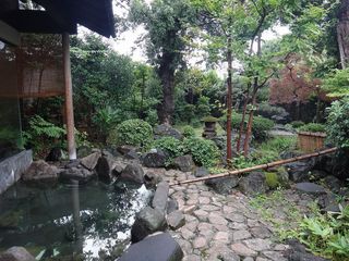 DSC01244.jpg