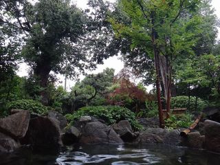 DSC01246.jpg