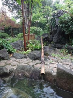 DSC01247.jpg