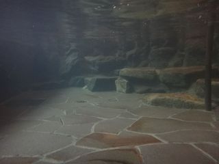 DSC01252.jpg
