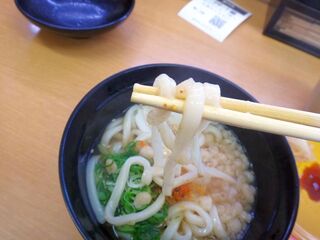 DSC01281.jpg