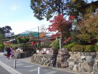 DSC01298.jpg