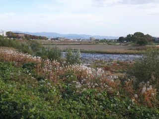 DSC01319.jpg