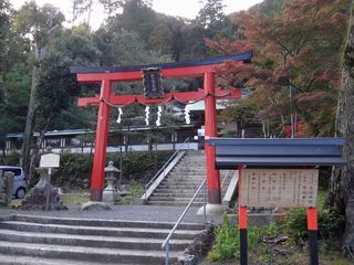 DSC01325.jpg