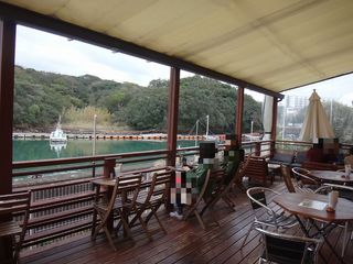 DSC01341.jpg