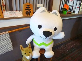 DSC01362.jpg