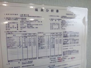 DSC01372.jpg