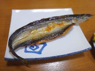 DSC01424.jpg