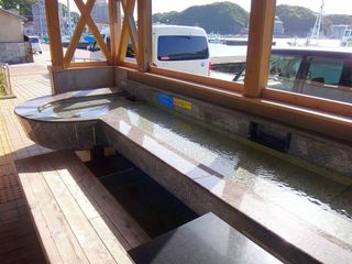 DSC01441.jpg
