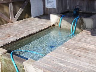 DSC01484.jpg