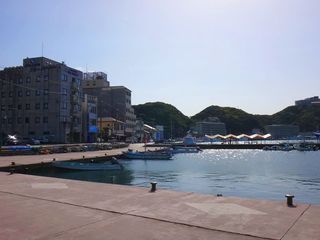DSC01487.jpg