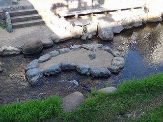 DSC01663.jpg