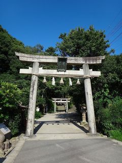 DSC01665.jpg
