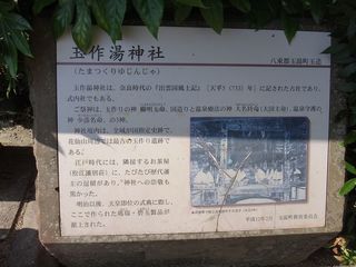 DSC01678.jpg