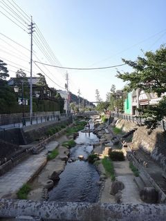 DSC01683.jpg