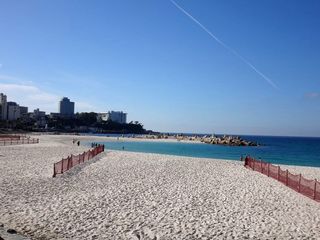 DSC01709.jpg