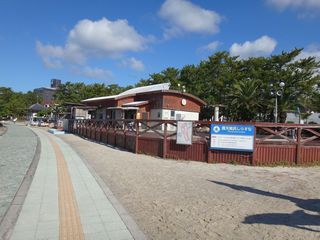 DSC01710.jpg