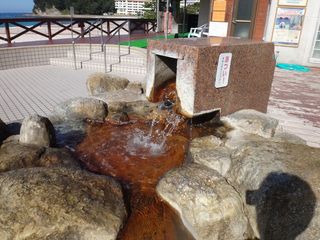 DSC01718.jpg