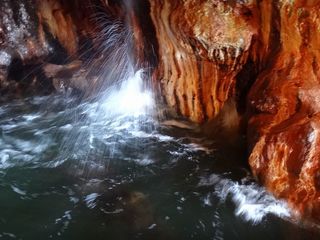 DSC01791.jpg