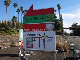 DSC01804.jpg