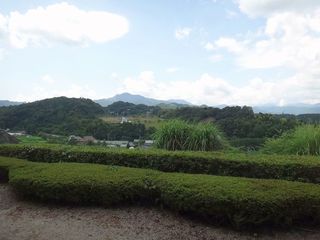 DSC01898.jpg
