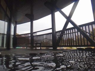 DSC01939.jpg