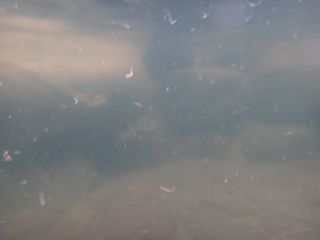 DSC02000.jpg