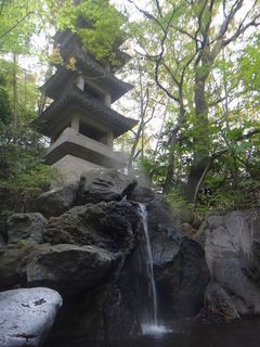 DSC02036.jpg