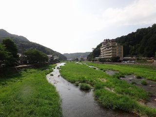 DSC02046.jpg