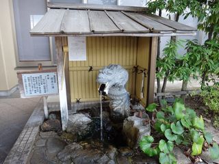 DSC02071.jpg