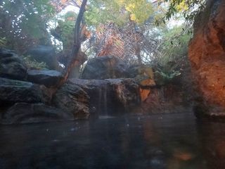 DSC02160.jpg