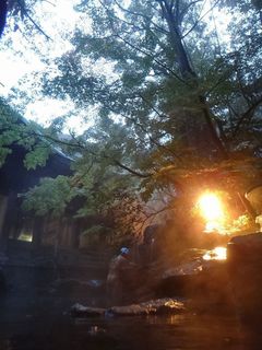 DSC02162.jpg