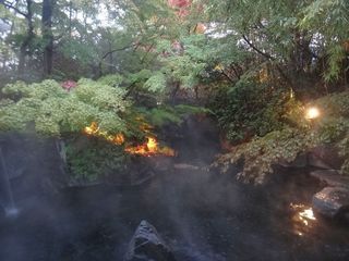 DSC02190.jpg