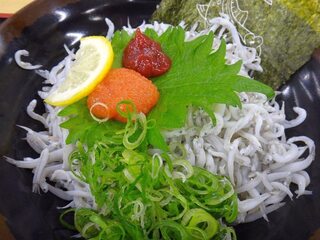 DSC02299.jpg
